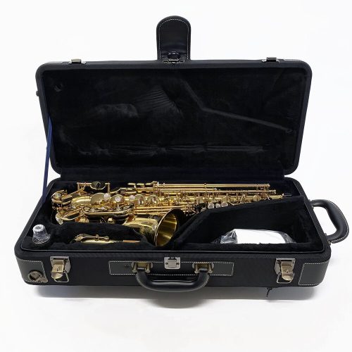 Yanagisawa AWO1 Professional Alto Saxophone - Lacquer - Image 2