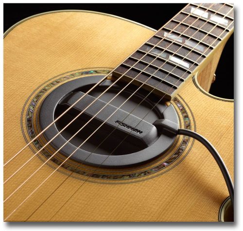 Fishman Neo-Buster Humbucking Soundhole Pickup - Image 2
