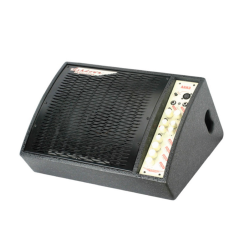 Ashdown Acoustic Radiator 12 Amp