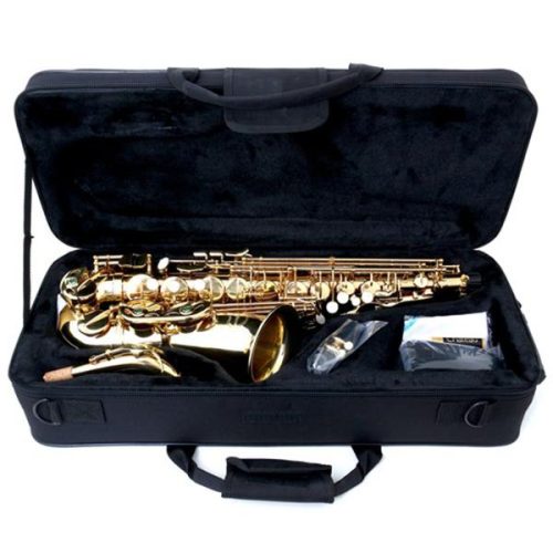 Chateau CAS-21 Eb Alto Saxophone Lacquer - Image 2