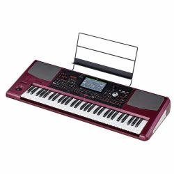 Korg Pa1000 61-Key Semi Weighted Professional Arranger