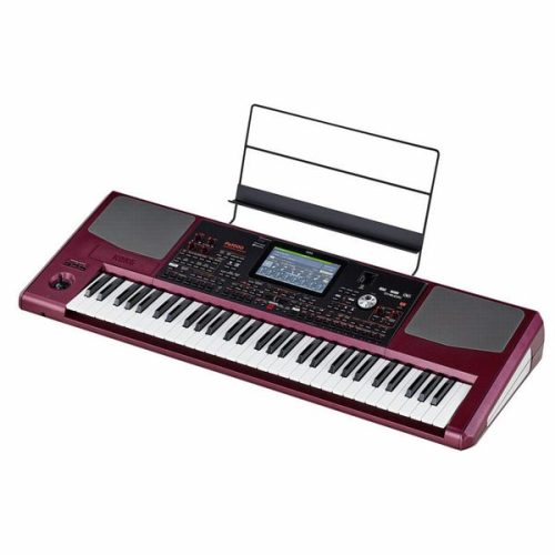 Korg Pa1000 61-Key Semi Weighted Professional Arranger