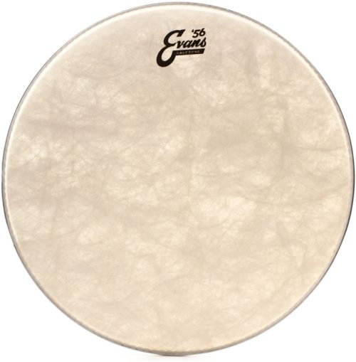 Evans Calftone Tom Batter Drumhead - 16 inch