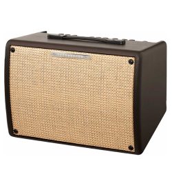 Ibanez Troubadour T30II - 30w Acoustic Amplifier