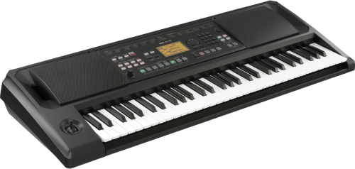 Korg EK-50 61-key Arranger Keyboard - Image 2