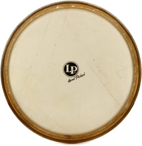 Latin Percussion Rawhide Conga Head - 11-3/4 inch - Conga