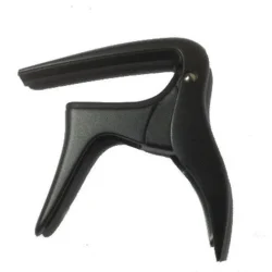 Santa Fe Capo B-Bird Black