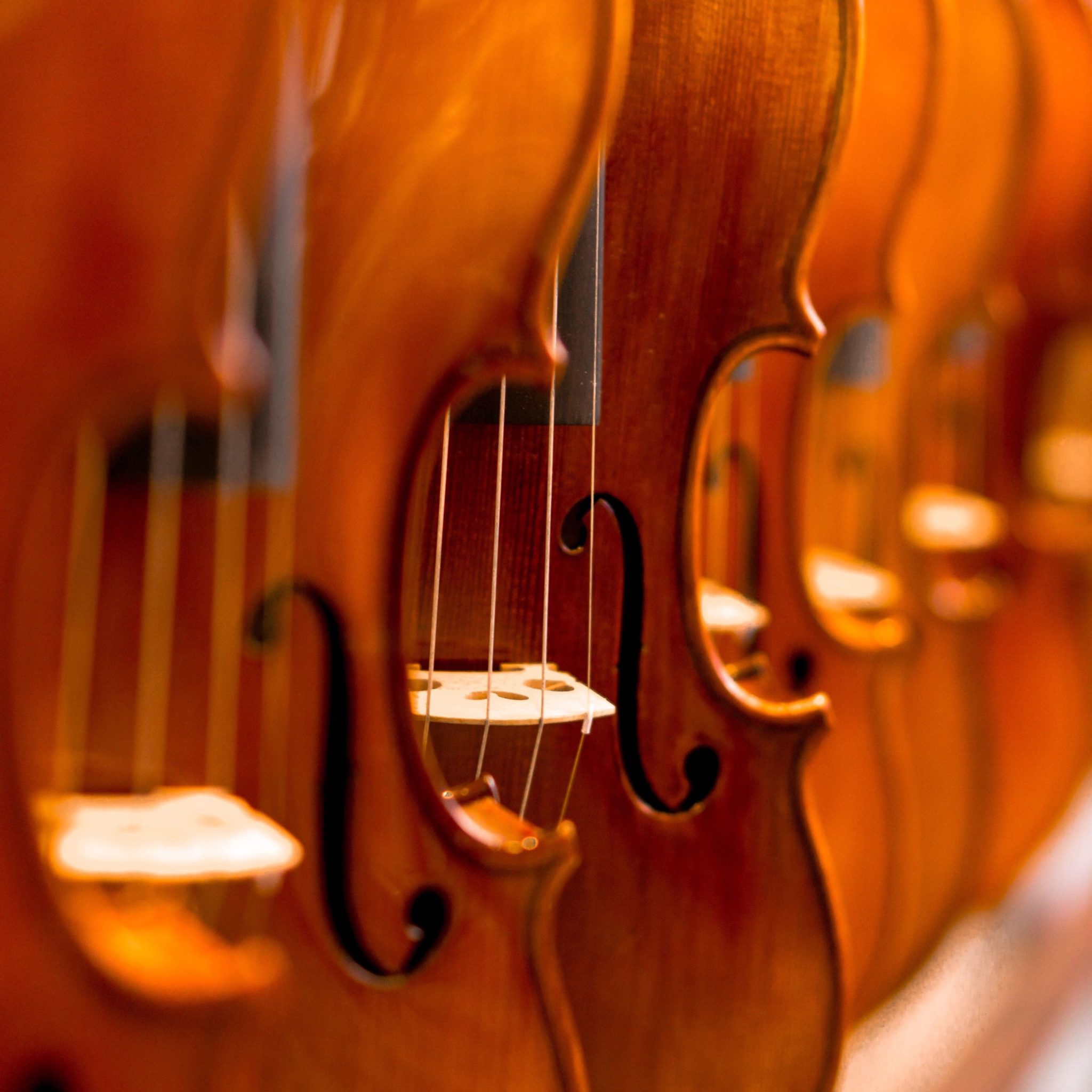 Violins Archives Marshall Music Violins Archives Marshall Music