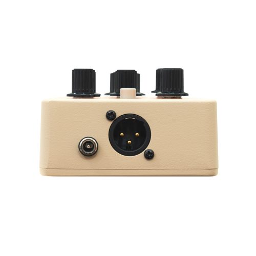 Orange Acoustic Pedal - Image 2