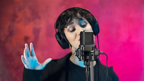 Lewitt LCT 640 TS Dual-Output-Mode Condenser Microphone - Image 10