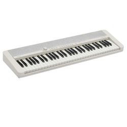 Casio CTS-1WE 61-Key Keyboard (White)