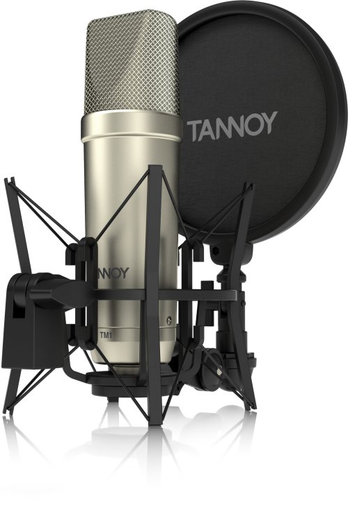 Tannoy TM1 Complete Recording Package with Large Diaphragm Condenser Microphone - Image 2