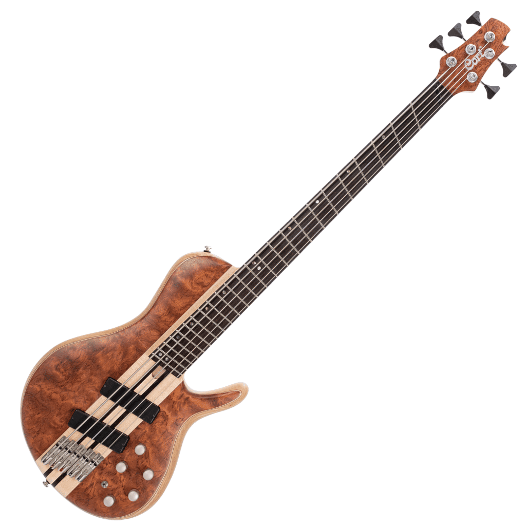 Cort a5 price hotsell