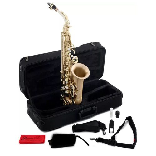 P. Mauriat Le Bravo Alto Saxophone - Gold Brass Matte Body - Image 2