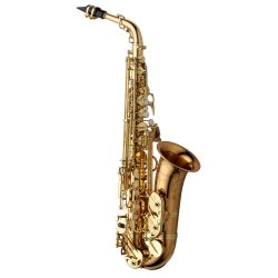 Yanagisawa A-WO20 Elite Professional Alto Saxophone - Bronze