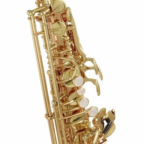 Yanagisawa AWO2 Professional Alto Saxophone - Bronze - Image 3