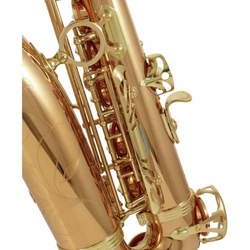 Yanagisawa AWO2 Professional Alto Saxophone - Bronze - Image 4