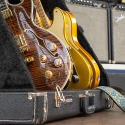 Guitars Bags & Cases