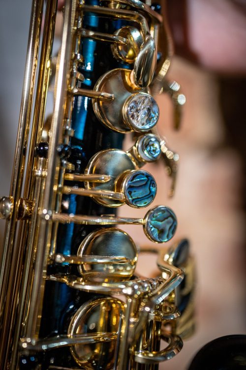 Chateau Art Series Alto Saxophone- Liberty - Image 5