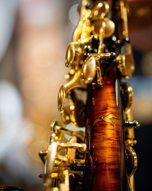 Chateau Art Series Alto Saxophone- Bon Voyage - Image 2