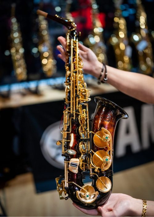 Chateau Art Series Alto Saxophone- Bon Voyage - Image 4