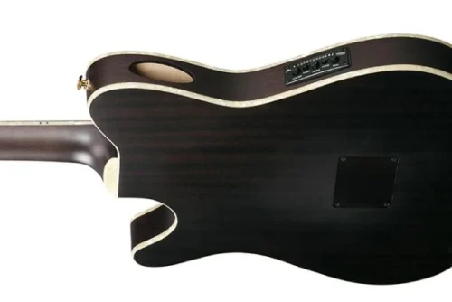 Ibanez Tim Henson Nylon Acoustic Electric Guitar - Black - Image 4