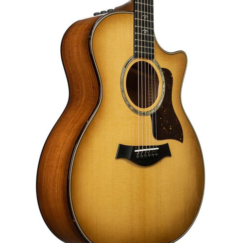 Taylor 514ce Grand Auditorium Acoustic-Electric Guitar - Urban Ironbark