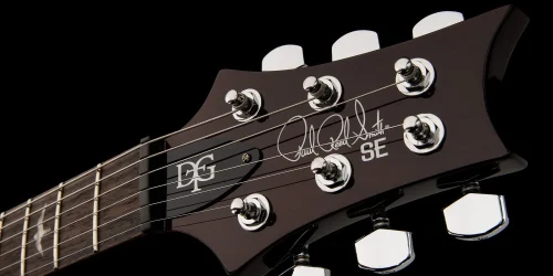 PRS DGT Electric Guitar with Bird Inlays - Gold Top - Image 6