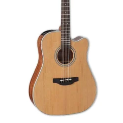Takamine GD20CE-NS Acoustic Electric Guitar - Natural Satin