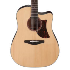 Ibanez Advanced AAD170CE Acoustic-electric Guitar – Natural