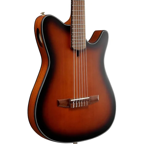Ibanez Nylon String Acoustic Guitar - Brown Sunburst Flat - Image 2