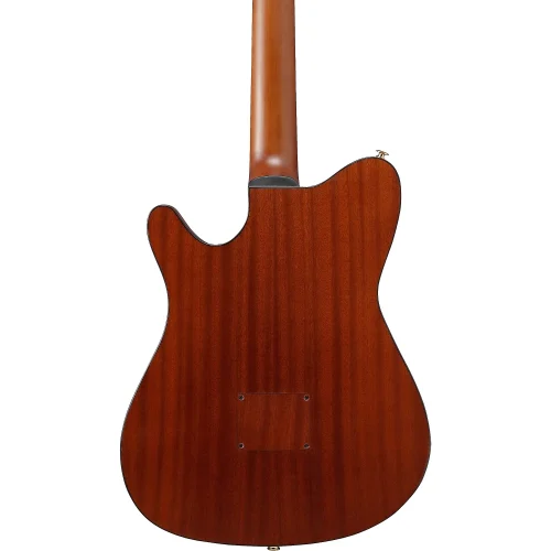 Ibanez Nylon String Acoustic Guitar - Brown Sunburst Flat - Image 5