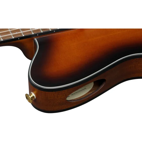 Ibanez Nylon String Acoustic Guitar - Brown Sunburst Flat - Image 3