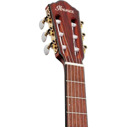 Ibanez Nylon String Acoustic Guitar - Brown Sunburst Flat - Image 6