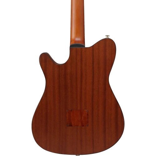 Ibanez Nylon String Acoustic Guitar - Natural Flat - Image 8