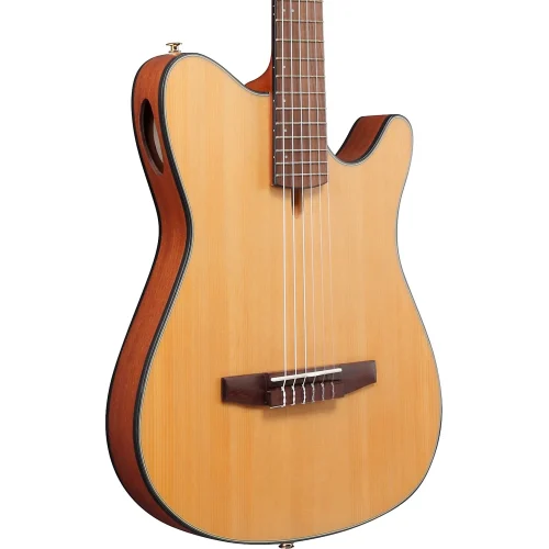 Ibanez Nylon String Acoustic Guitar - Natural Flat - Image 2