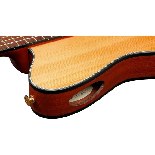 Ibanez Nylon String Acoustic Guitar - Natural Flat - Image 4