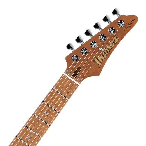 Ibanez Tom Quayle Signature Electric Guitar - Celeste Blue - Image 7