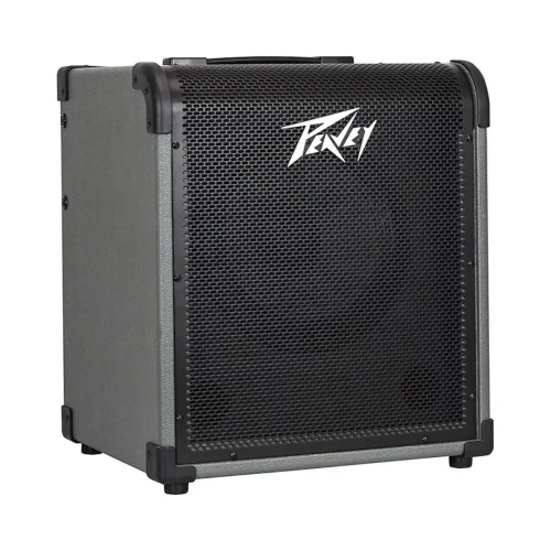 Peavey MAX 300 2x10 inch 300-watt Bass Combo Amp - Image 2
