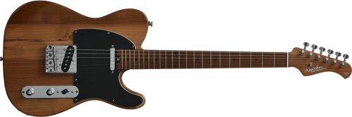 Bacchus BTE Global Series Roasted Maple Electric Guitar - Image 2