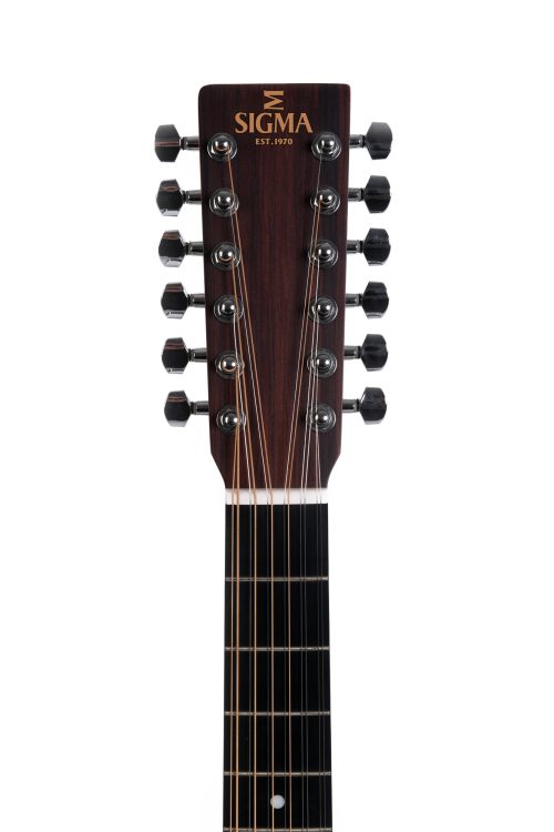 Sigma DM12E 12 String Acoustic/Electric Guitar - Image 5