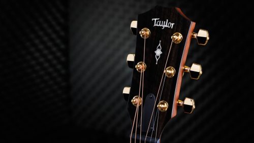 Taylor 314CE 50th Anniversary Limited Edition Acoustic Guitar - Image 5