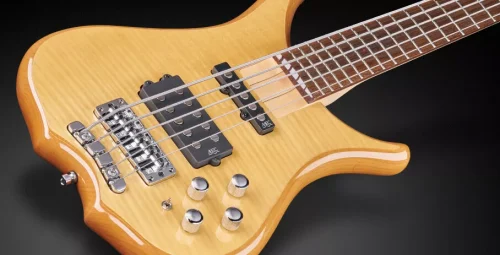 Warwick RockBass Infinity 5-String Bass - Natural - Image 3