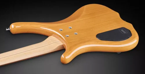 Warwick RockBass Infinity 5-String Bass - Natural - Image 4