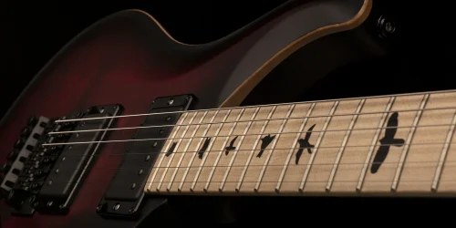 PRS DW CE 24 "Floyd" Electric Guitar - Waring Burst - Image 4