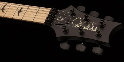PRS DW CE 24 "Floyd" Electric Guitar - Waring Burst - Image 9