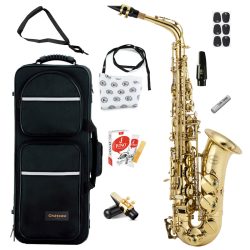 Chateau CAS-21 Eb Alto Saxophone Lacquer Student Bundle