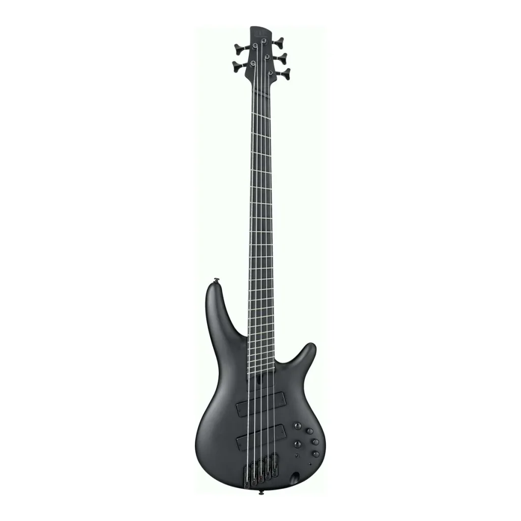 Ibanez Iron Label SRMS625EX 5 String Bass Guitar - Black Flat