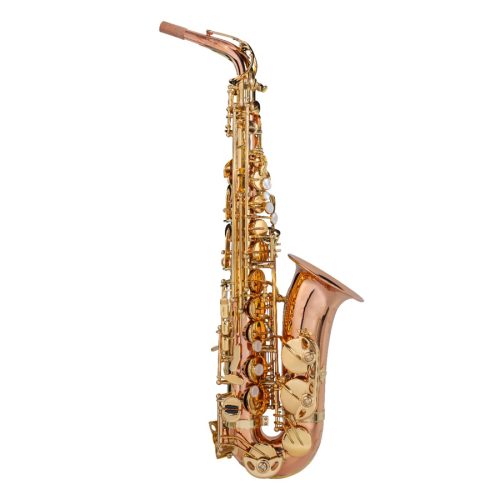 Jinbao Eb Alto Saxophone JBAS200GB - Rose Brass Student Bundle - Image 2