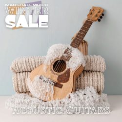 Acoustic Guitars - WS25